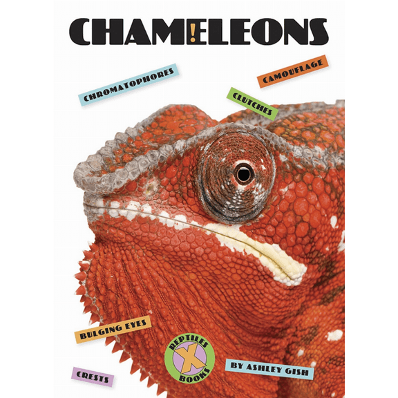 X-Books: Reptiles: Chameleons (Paperback)