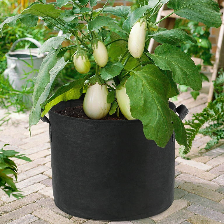 LUNGAR Plant Grow Bags - 10 Gallon 5 Packs Planter Pot, Thickest Aeration  300G Non-Woven Fabric, Reinforced Handles for Weatherproof Nursery Pot