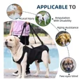 thumbnail image 3 of Arnés De Rehabilitación Para Mascotas Para Perros, 3 of 7