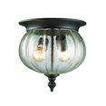 thumbnail image 1 of Z-Lite Belmont Lampe de Poche Extérieure en Noir, 1 of 1