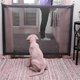 thumbnail image 2 of Magic Mesh Puppy Dog Gate Safe Guard Pet Dog Safety Enclosure Dog Fences(L) Tmvgtek Oficina Multiescena Multifunción, 2 of 6