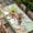 Green, variant on Easter Bunny Table Cloths for 6 Foot Rectangle Tables, Cute Rabbits Colorful Eggs Flower Purple Plaid Patio Waterproof Elastic Fitted Tablecloths, Washable Rectangular Table Cover for Camping
