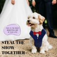thumbnail image 2 of Traje de boda formal para perros AVERYDAY con pajarita, 2 of 6