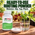 thumbnail image 5 of Hormex Rooting Hormone Powder #1 (0.10% IBA) for Delicate Houseplants, Succulents & Herbs - Gentle Root Stimulator for Softwood Plant Cuttings, Cloning, & Propagation, 5 of 9
