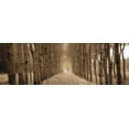 thumbnail image 2 of Heather Ross 44x17 Gallery Wrapped Canvas Wall Art Titled - The Shimmering Forest, 2 of 4