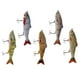 thumbnail image 1 of 5 Uds Señuelos de pesca Biónicos Sharpla articulados múltiples Ojos 3D, 1 of 7