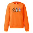 thumbnail image 4 of Women's Casual Crew Neck Sweatshirt Halloween Three Pumpkin Broom Graphic Pullover Vintage Streetwear Top Fall Winter Oversized Sweatshirts Orange L, 4 of 6