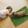 thumbnail image 4 of Simulation Lawn Mat Dog And Cat Play Scratching Mat, 4 of 16