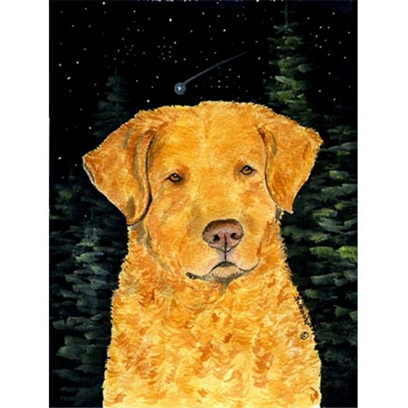 Starry Night Chesapeake Bay Retriever Canvas Flag - House Size- 28 x 40 in.