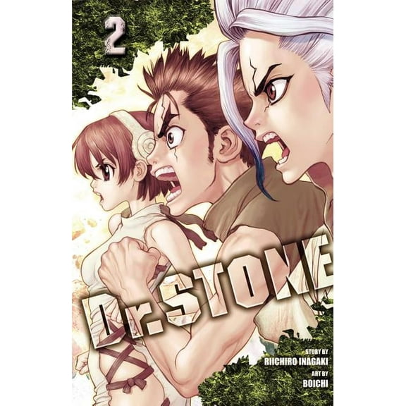 Dr. STONE: Dr. STONE, Vol. 2 (Series #2) (Paperback)