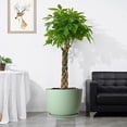 thumbnail image 5 of 12/10/9 Large Modern Plant Pots, Plastic Planters with Drainage Holes and Saucers for Indoor Outdoor Plants Flowers, Green, 5 of 5