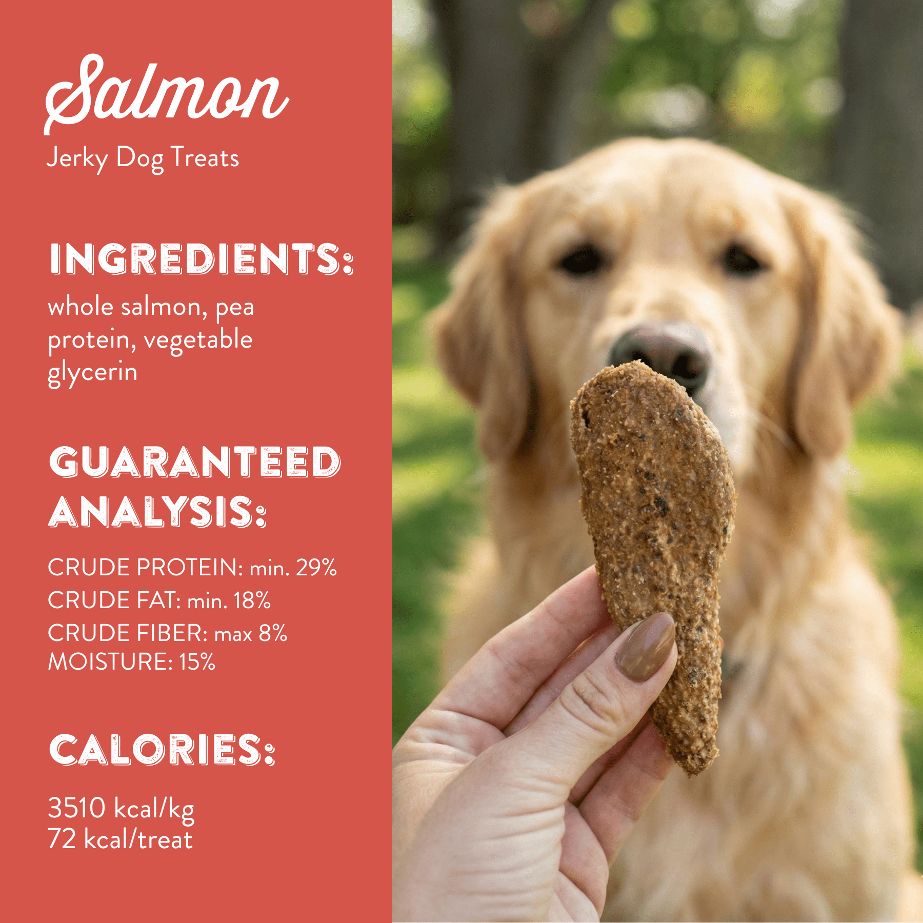 (2 pack) Butcher's Naturals Salmon Flavor Jerky Treats for Dogs, 16 oz