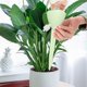 thumbnail image 1 of MTBLYS Sistema de riego por goteo automático: dispositivo de riego lento ajustable con estacas de infiltración para plantas en maceta|jardín|cestas colgantes|invernadero y jardineras exteriores, 1 of 6