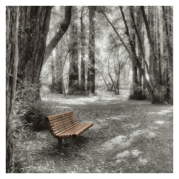 Masterpiece Art Gallery Old Mill Park Bench by Alan Blaustein Canvas Art Print 30" x 30"