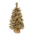 thumbnail image 1 of National Tree Company Bristle Pine 3 Foot Glittery Christmas Tree with Lights, 1 of 5
