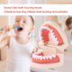 thumbnail image 2 of Son buenas herramientas para que los padres enseñen a los niños pequeños a cepillarse los dientes, cantidad suficiente para satisfacer sus necesidades de compra., 2 of 5
