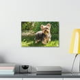 thumbnail image 3 of Majestic Yorkshire Terrier Art Majestic Yorkshire Terrier Print Animal Wall Art Wildlife Canvas Prints Wall Art Ready to Hang Unframed, 3 of 18