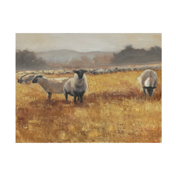 Ethan Harper 'Grazing at Sunset I' Canvas Art