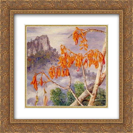 Marianne North 2x Matted 20x20 Gold Ornate Framed Art Print 'Limestone Mountains of Sarawak, Borneo'