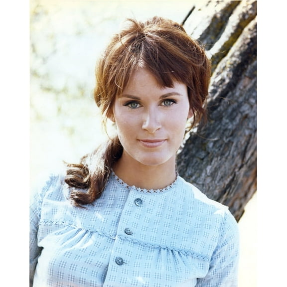 Susan Clark Posed in Blue Dress Photo Print (8 x 10)