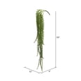 thumbnail image 2 of Vickerman FL171301 Buisson Senecio Vert avec Grains 1132 Succulent - 39 Po., 2 of 2