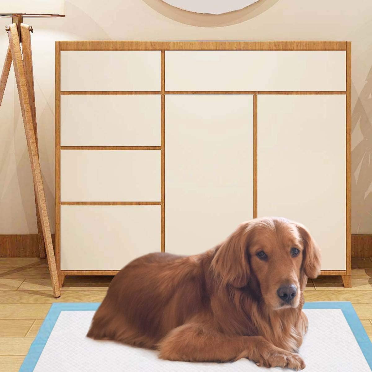 Puppy Pee Pads , 36''x30'' Dog Potty Pads, Powerful Absorbency, 5-Layer Design, Leak-Proof Disposable Pet Piddle Training Pad for Dogs Doggie Cats Rabbits