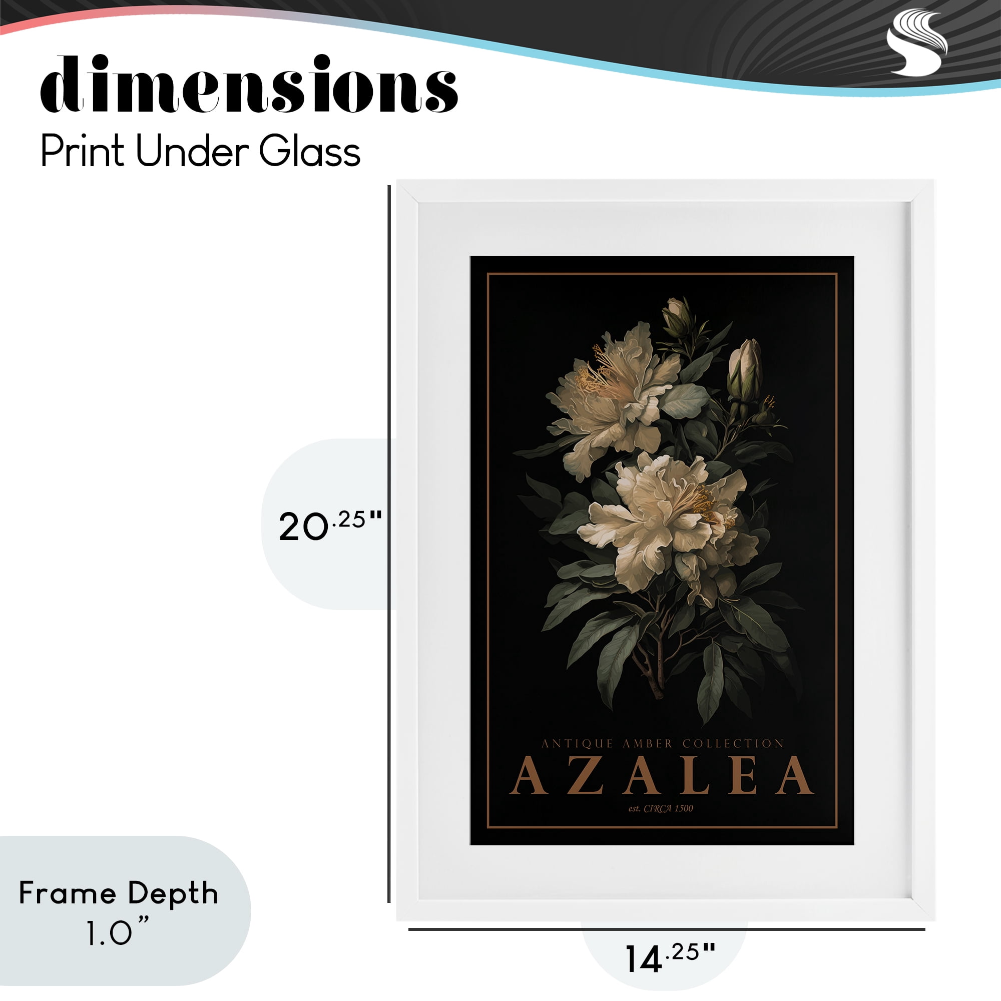 Stupell Industries Antique Azalea Light White Framed Print Under Glass, design by Chris Giampietro