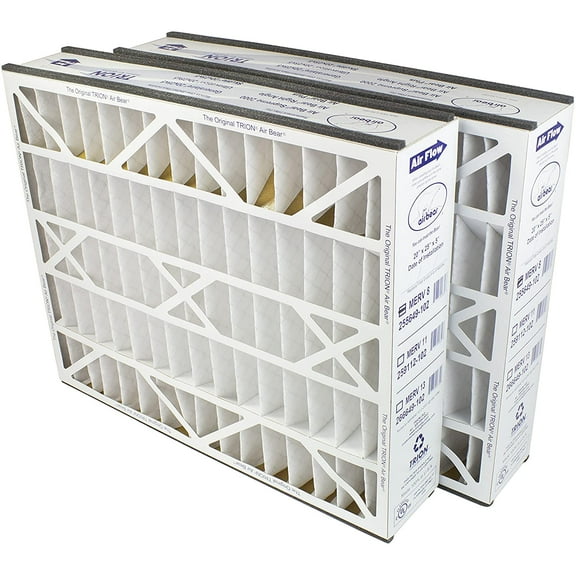 Trion Air Bear 255649-102 (2-Pack) - 20" x 25" x 5" Pleated Air Filter, MERV 8