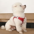 thumbnail image 3 of Visland Harnais-gilet pour Animaux avec Laisse, Maille Respirante, Réfléchissant, à Enfiler, Boucle Réglable, Anti-Traction, Anti-Fuite, Harnais de Poitrine pour Petit Chien, Chiot, Chat, Fournitures pour Animaux, 3 of 7