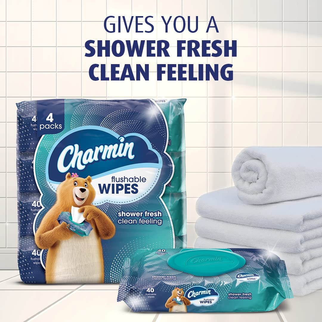 Charmin Flushable Wipes, (Pack of 4)
