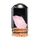 thumbnail image 3 of Juego De Decoración De Cristal Con Especímenes Minerales Naturales Para Decorar El Escritorio, La Estantería O Cualquier Espacio De La Oficina En Casa., 3 of 9
