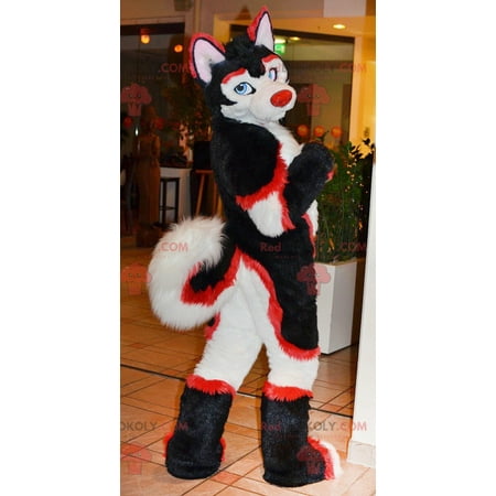 Cat REDBROKOLY mascot red white and black dog