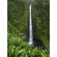 thumbnail image 2 of Kaveney, Wendy 25x32 Black Ornate Wood Framed with Double Matting Museum Art Print Titled - USA, Hawaii, Hilo View if Akaka Falls, 2 of 4