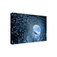 thumbnail image 4 of Canvas Wall Art - Faris Saieda 'The Ice Cave' Wall Art for Living Room, Bedroom, or Office D?cor by Trademark Fine Art - 19 x 12 Inches, 4 of 4
