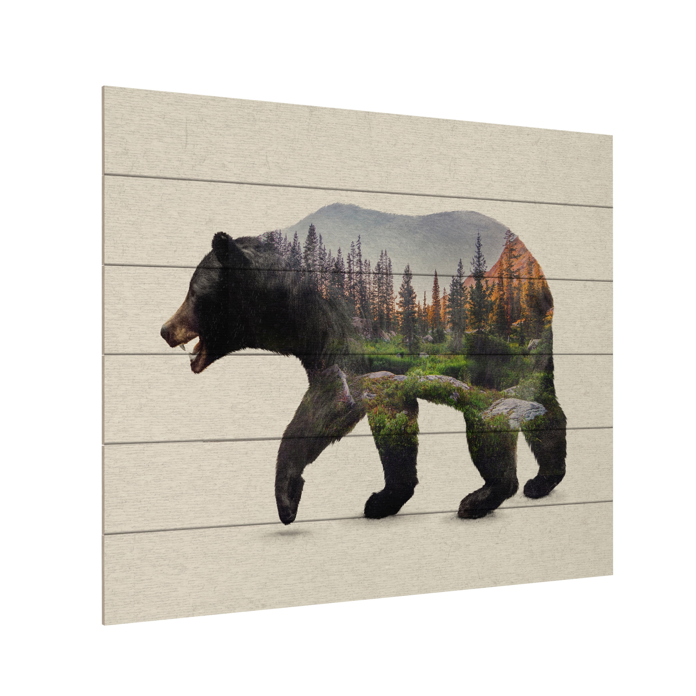 Davies Babies 'The North American Black Bear' Wood Slat Art 18x22