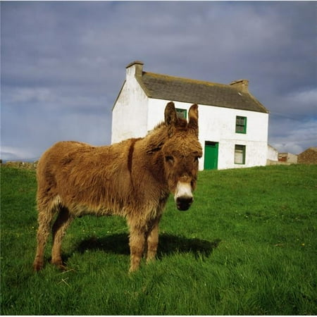 The Cottage Collection Posterazzi DPI1814865LARGE Cottage & Donkey Tory Island Poster Print by The Irish Image Collection, 24 x 24 - Large ()