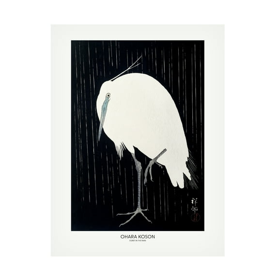 Pictufy 'Egret In The Rain' Canvas Art