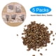 thumbnail image 2 of 5 paquetes/juego de semillas comestibles de mora dulce, fruta, baya negra dulce, plantas de nutrición completa, 2 of 8