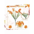 thumbnail image 2 of 100 Bundles Violet Artificial Flowers UV Resistant Faux Silk Flowers Outdoor Fake Violet Bulk for Front Porch Hanging Garden Courtyard Farmhouse Home Bright Orange, 2 of 8