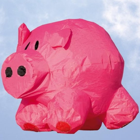 HQ Kites Bouncing Buddy - Porky Pete