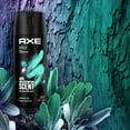thumbnail image 3 of AXE Men's 48 Hr Deodorant Body Spray&nbsp;- Apollo - 4 oz, 3 of 4