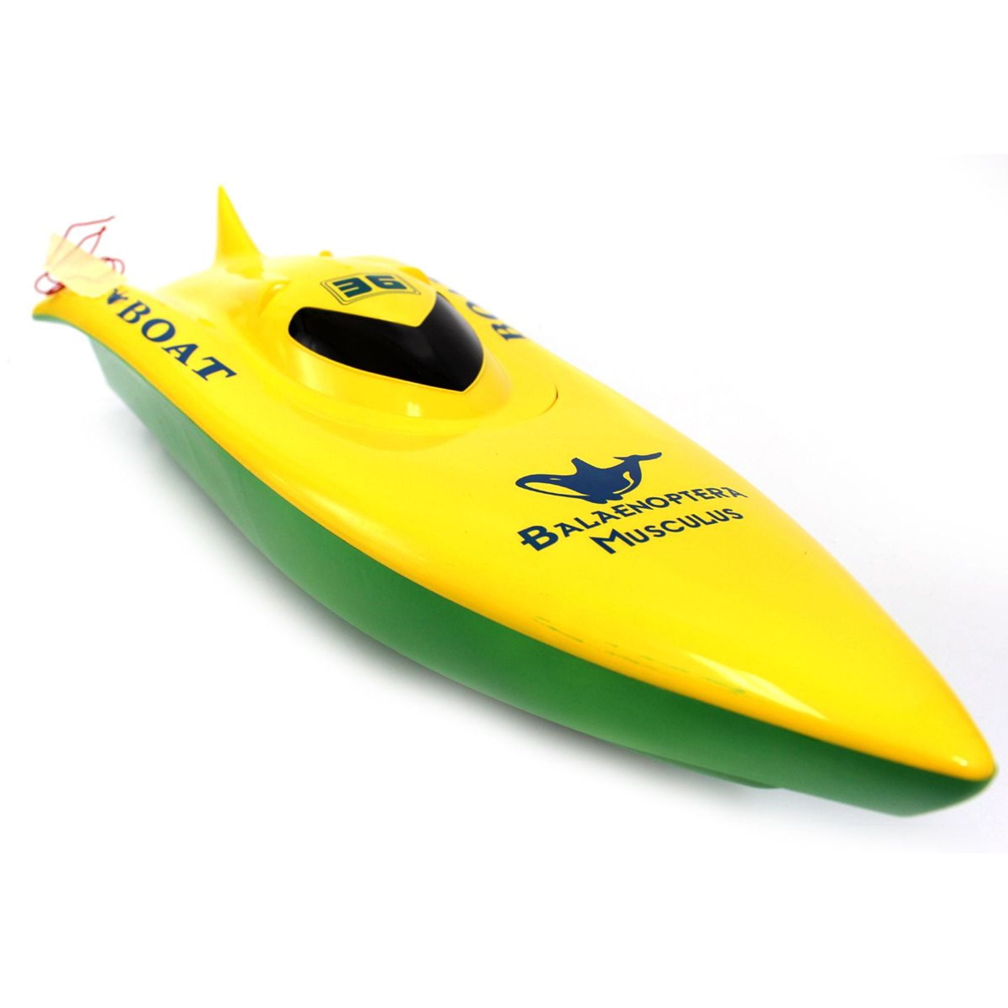 balaenoptera musculus rc boat