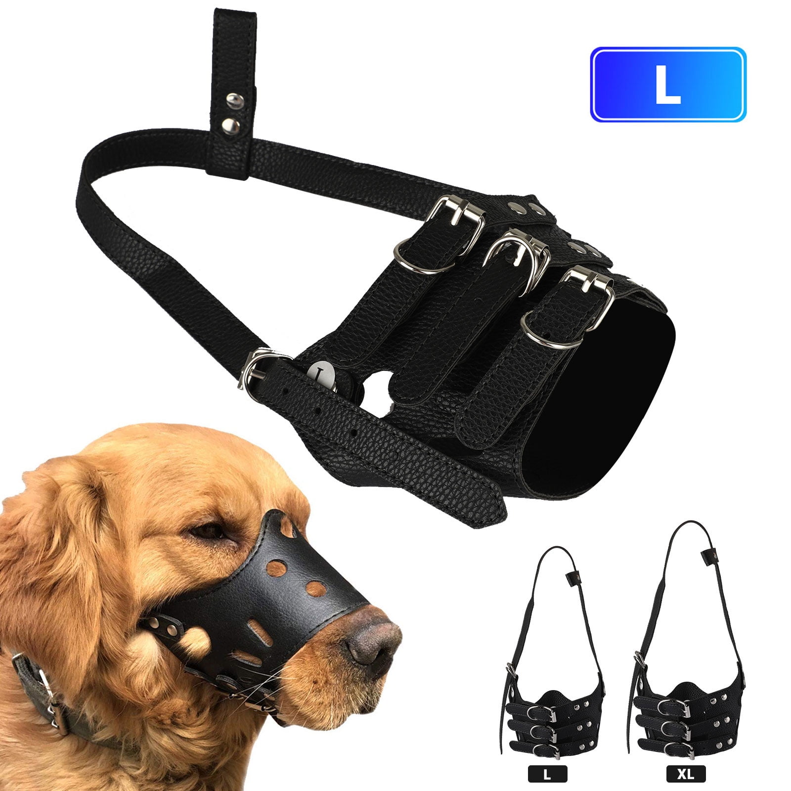 muzzle training for biting