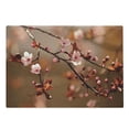thumbnail image 1 of Nature Cutting Board, Cherry Blossom Sakura Tree Branches Flowering Japanese Flourishing Print, Decorative Tempered Glass Cutting and Serving Board, Large Size, Pale Pink Dark Coral, by Ambesonne, 1 of 1