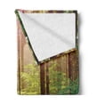 thumbnail image 2 of Forest Soft Flannel Fleece Throw Blanket, Forest in Spring Time Sunset Moss Woods Leaf Wilderness Fantasy View Print, Cozy Plush for Indoor and Outdoor Use, 70" x 90", Green Brown, by Ambesonne, 2 of 5