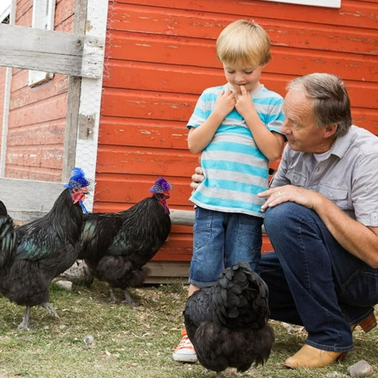 Chicken Hats for Hens Chicken Helmet Mini Hat with Adjustable