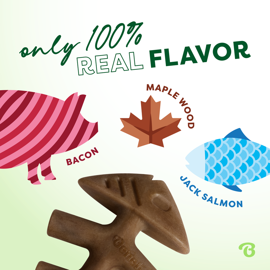 Benebone Medium 4-Pack Bacon Dog Chew Toys photo 3