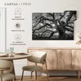 thumbnail image 5 of Elephant Stock Monochrome Angel Oak Tree Wall Art - Horizontal Canvas Wall Art - Living Room Wall Decor - Floral And Botanical Canvas - Black And Gray Decor - 12" x 8", 5 of 8