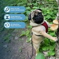 thumbnail image 2 of Voyager Step-In Air Dog Harness - All Weather Mesh Step in Vest Harness for Small and Medium Dogs by Best Pet Supplies - Red Base, XL, 2 of 5