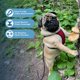 thumbnail image 2 of Arnés para perros Voyager Step-In Air All Weather S rojo/negro, 2 of 7